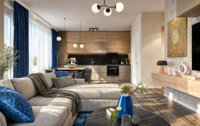 Modern blue interior balance garden livingroom design