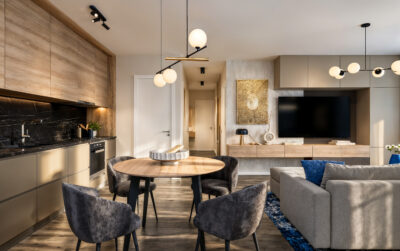 Modern blue interior balance garden livingroom design