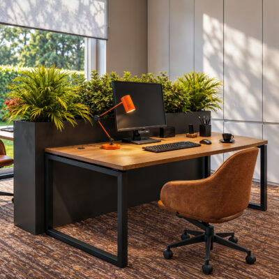 3DVisionDesign grey modern Office interior visualisation